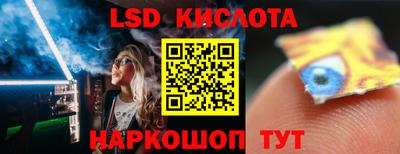jwh Бийск
