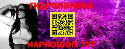 индика Берёзовский
