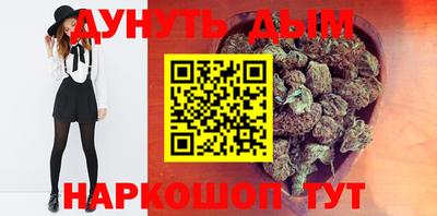 jwh Бийск