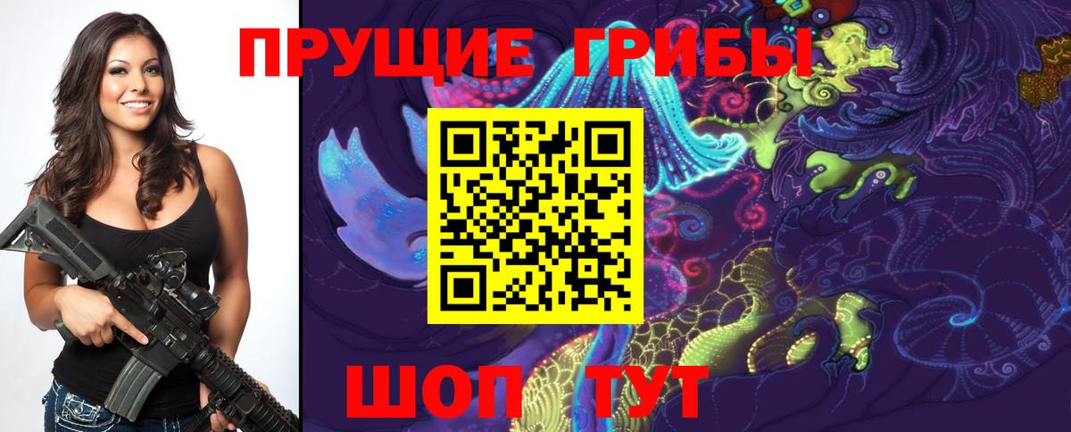 Камень-на-Оби  Галлюциногенные грибы GOLDEN TEACHER  Вход с VPN  Псилоцибиновые грибы Magic Shrooms 